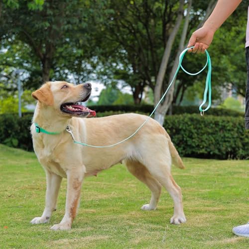 Waterproof Dog Collar, Easy to Clean Rubber Dog Collars with Quick Release Buckle Fits Small Medium or Large Dogs (Mint Green, M < 11.8-18.5 inch) - color: Mint Green, size: M (11.8-18.5 inch)