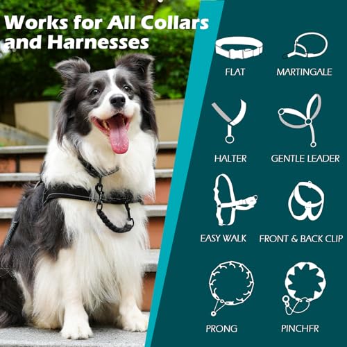 Dog Collar Safety Clip, Handmade Backup Safety Strap for Dog Harness, Prong, Pinch Collar, Double Ended Clasp Leash Connector (Black) - color: Black