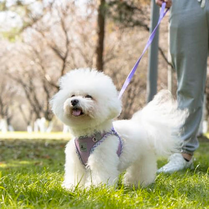 Dog Harness & Leash Set - No Pull Soft Breathable Small Dog Harness, Adjustable Reflective Step-in Vest for Puppy, Kitten, Cats - color: purple, size: xs