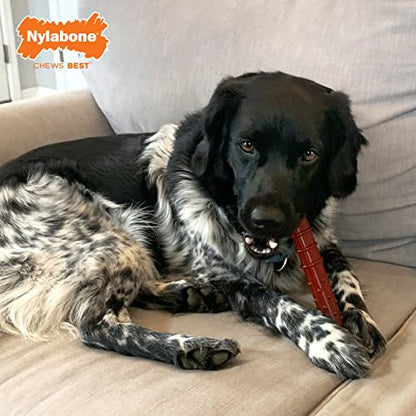 Nylabone Textured Bone Power Chew Toy for Dogs, Durable & Tough Dog Toys for Aggressive Chewers, Basted Blast Bacon and Steak Flavor, Large Dogs - Up to 50 lbs, 1 Count - size: Large