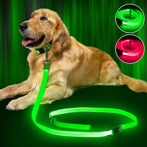 LED Dog Leash 6 Feet Micro USB Rechargeable Nylon Webbing Glow Safety Standard Dog Leash (Green) - color: Green, size: 6 Feet