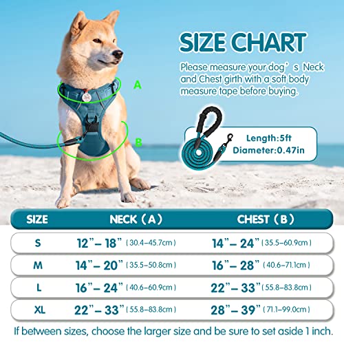PoyPet No Pull Dog Harness and 5 Feet Leash Set, Release on Neck Reflective Adjustable Pet Vest, Front & Back 2 D-Ring and Soft Padded Pet Harness with Handle for Small to Large Dogs(Tumalo Teal,M) - color: Tumalo Teal, size: Medium