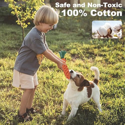 Dog Rope Toys for Small Dogs Aggressive Chewers, 100% Natural Cotton, 6 Pack for Fun and Teeth Cleaning Chew Tug of War Interactive Training Rope Toys for Puppy to Small Dogs