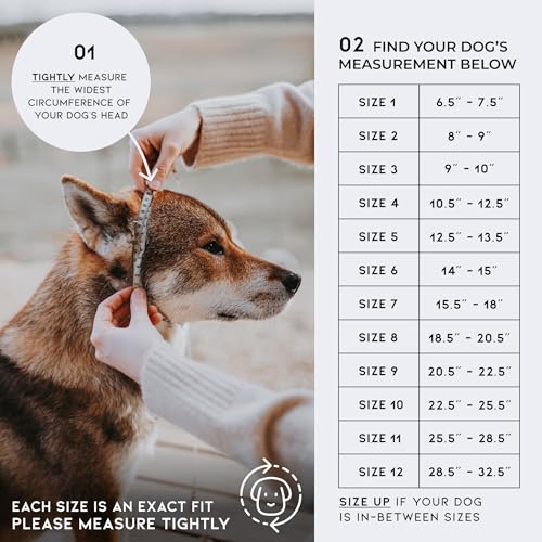 MADE TO ROAM Premium Everyday Dog Collar - Martingale Style No Pull Vegan Leather Collar, Heavy Duty and Lightweight for Small, Medium, Large Dogs (Arizona Heartbeat, Size 5) - color: Arizona Heartbeat, size: Size 5