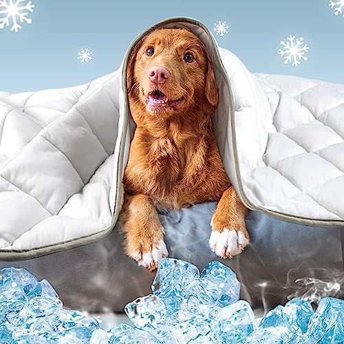 Dog Cooling Mat,Pet Cooling Pads for Dogs Blanket,Summer Cooling Bed for Cats Blanket,Portable Pet Cooling Cushion for Home & Outdoor,Keep Cooling for Pets - color: Cool Grey, size: Large(40"x55")