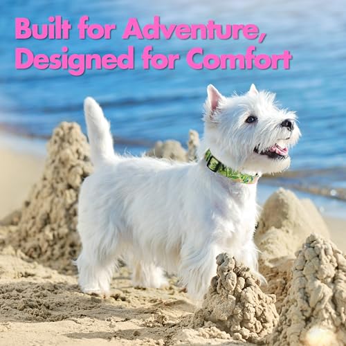 Small Dog Collar with Reflective Logo and Soft Padded Neoprene,Summer Tropical Leaf Design, Adjustable,Lightweight & Durable, Neck Size 9’’-14’’ (Leaf, S) - color: Tropical Leaf, size: S (Neck 9''– 14'')