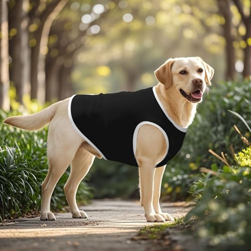 SWEET TANG Dog Lightweight T-Shirt Black, Cool Breathable Stretchy Medium Large Dog Shirts, Soft Pet Shirts for Puppy Kitty Cats, X-Large - color: Pattern (442), size: X-Large