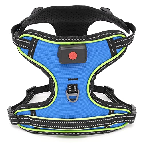 Safety LED Dog Harness - Light Up Dog Vest, No-Pull Dog Harness - Rechargeable Glowing Pet Harness for Night Walking & Camping (Blue+Green Light, Medium) - color: Blue+Green Light, size: Medium