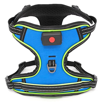 Safety LED Dog Harness - Light Up Dog Vest, No-Pull Dog Harness - Rechargeable Glowing Pet Harness for Night Walking & Camping (Blue+Green Light, Medium) - color: Blue+Green Light, size: Medium