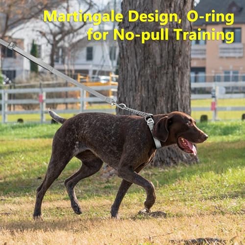 Plutus Pet Martingale Dog Collar with Stainless Steel Chain and Reflective Nylon, Adjustable No Pull Training Collar, for Small Medium, and Large Dogs, Gray, M - color: Gray, size: Medium