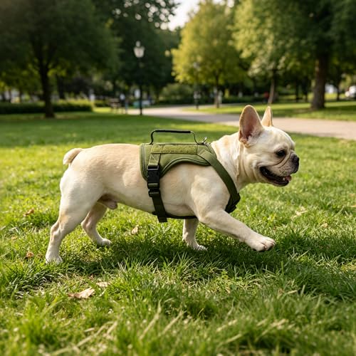 AIITLE Small Dog Harness No Pull, Reflective Adjustable Vest with Handle, No Choke Design, Dual Metal Leash Clips for Walking Training Running Camping, Small Medium Breeds - Green XS - color: Green, size: XS