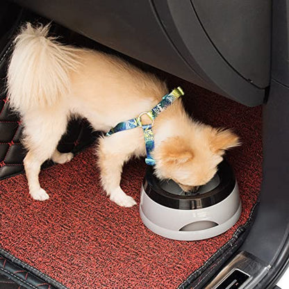 Dog Bowl Pet Water Non-Drip Slow Feeders Cats Dispenser 25oz for Travel Cats Dog Dispenser for Vehicle Car Travel for Crates - color: Gray