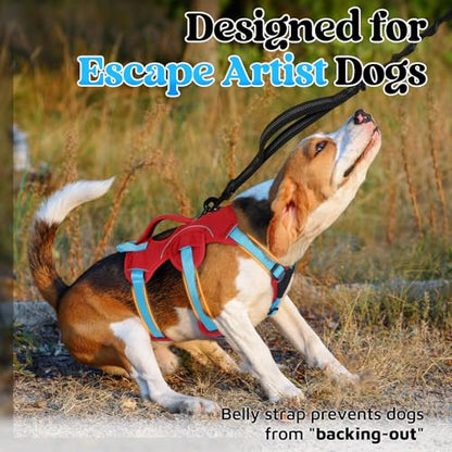 rabbitgoo Escape Proof Dog Harness Large Dogs, Soft Padded Full Body Pet Harness, Reflective Adjustable No Pull Vest with Lift Handle and Leash Clip for Walking Hiking Training, Blue & Red, S - color: Blue & Red, size: Small (Pack of 1)
