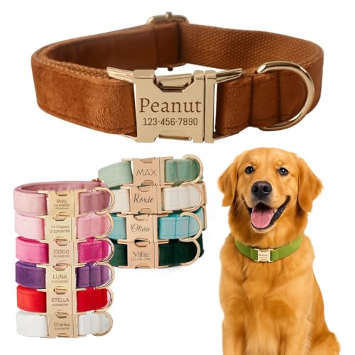 Personalized Custom Dog Collar with Engraved ID Tag Name Plate & Phone Number Customized Soft Velvet Cat Collar Quick Release Metal Buckle, Leash, Bowtie, Poop Bag Available for Small Medium Large Pet