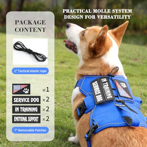 Escape Proof Dog Harness, Soft Padded Full Body Pet Harness, Reflective No Pull Dog Harness with Handle and 2 Leash Clips for Small Dogs Walking Hiking Training (Blue,S)