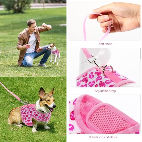 TOYANDONA Pet Mesh Dog Harness Vest Breathable Adjustable Strap Summer Outdoor Cool Harness for Small Dogs S Size with Leash Attachment