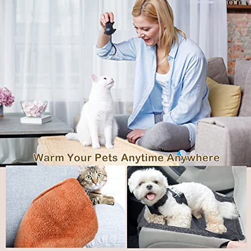 Newwiee 6 Pcs Blankets for Dogs Cats, Soft Warm Fluffy Fleece Pet Calming Blanket, Washable Flannel Throw for Small Medium Pet, Gray/Beige/Khaki(24 x 18 Inch) - size: 24 x 16 Inch