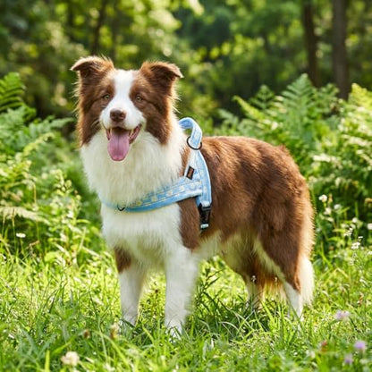 Didog No Pull Dog Harness with Soft Padded, Easy Walk Dog Harness with Quick Release Buckle, Adjustable & Reflective Pet Harness with Soft Padded for Medium Dogs (M:Chest 22-26", Blue) - color: Blue, size: M:Chest 22-26", Fit 25-40 lbs