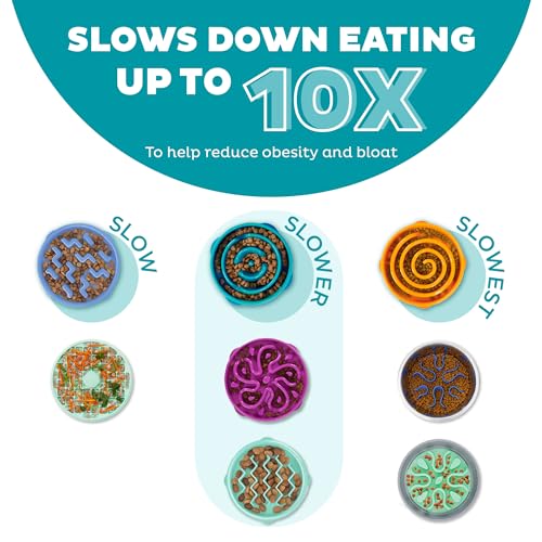Outward Hound Fun Feeder Dog Bowls, Slow Feeders for Dogs, Medium/Mini, Turquoise and Orange
