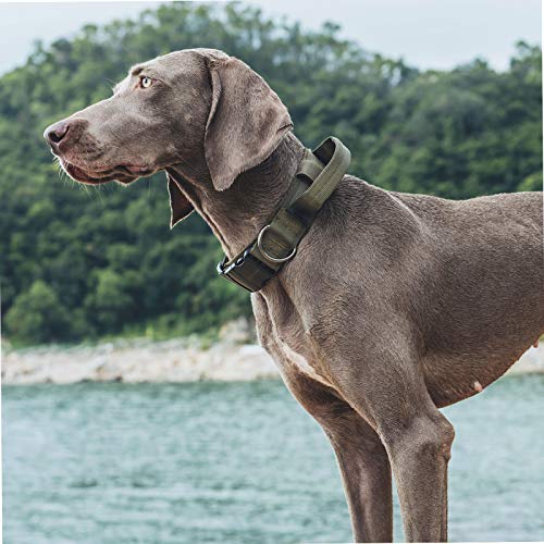 OneTigris Tough Dog Collars, Tactical Dog Collar with Handle, Milltary Adjustable Dog Collar with Heavy Duty Metal Buckle for Training (Medium (Pack of 1), Green) - color: Green, size: Medium