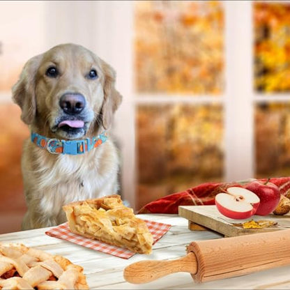 BoomBone Thanksgiving Dog Collar for Medium Dogs, Quick Release Fall Dog Collar - color: Thanksgiving, size: M