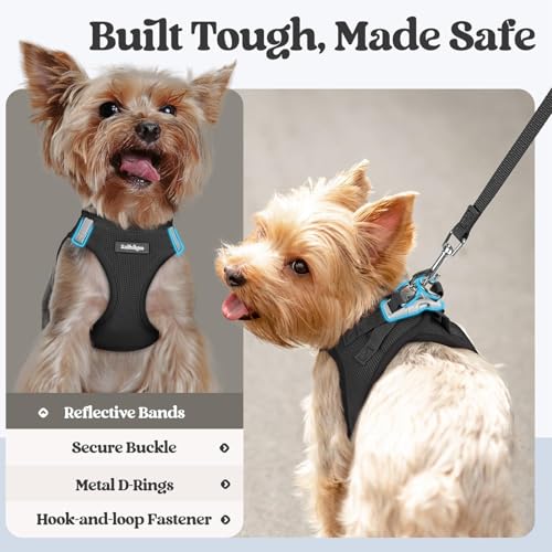 rabbitgoo Dog Harness Small Sized and Leash Set, Step in Soft Light Puppy Vest, Breathable Mesh Pet Harness, Reflective for Safe Easy Walking, Black XS - color: Black, size: Xs (chest: 13.3 - 15.5")