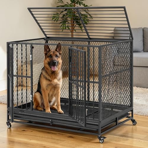 42 Inch Heavy Duty Dog Crate, Folding Dog Kennel for Medium/Small Dogs, Metal Dog Cage with Lockable Wheels, Dual Locks, Removable Tray, Easy Assembly - size: 42.1"L x 27.6"W x 32.3"H
