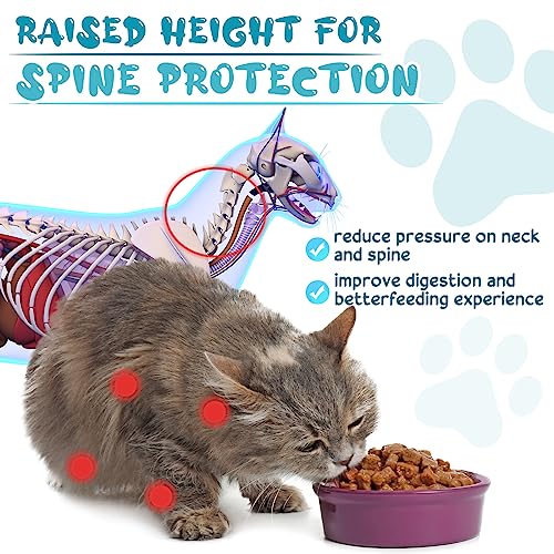 Roshtia 4 Sets Elevated Cat Bowls Ceramic Raised Cat Food Bowls with Metal Stand Dishwasher Safe Dishes Non Slip Elevated Food Plate(Green,Paw) - color: Green