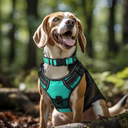 Joytale Reflective Dog Collar, Soft Neoprene Padded, Metal D-Ring, Nylon Pet Collar Adjustable for Large Dogs, Teal, L - color: Teal, size: Large (Pack of 1)