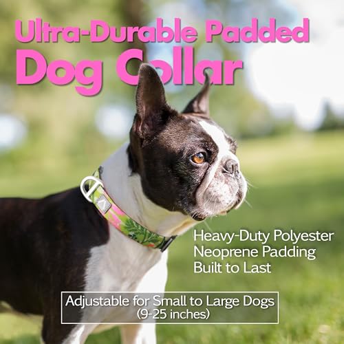Small Dog Collar with Reflective Logo and Soft Padded Neoprene,Summer Tropical Leaf Design, Adjustable,Lightweight & Durable, Neck Size 9’’-14’’ (Leaf, S) - color: Tropical Leaf, size: S (Neck 9''– 14'')