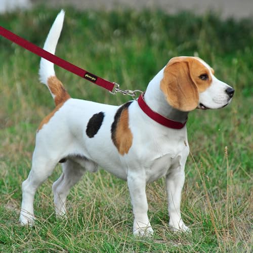 Plutus Pet Cotton Hemp Dog Collar and Leash Set, Adjustable Collar for Small, Medium, and Large Dogs, Heavy Duty and Soft on Skin, Red, XS - color: Red, size: X-Small