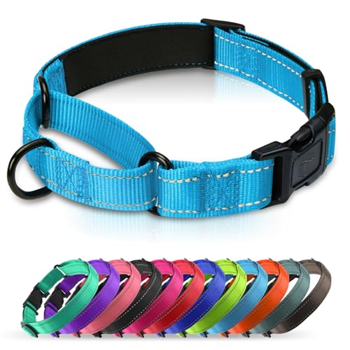 Martingale Collar for Dogs with Quick Release Buckle, Reflective Soft Padded & Escape Proof, Adjustable Nylon Dog Collars for Training & Daily Walking (Aqua Blue,S) - color: Aqua Blue, size: S:width 3/4"neck 12-14.5"