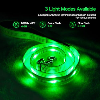 Weesiber Glowing Light Up LED Dog Leash - 4ft USB Rechargeable Flashing Nylon Leash for Small Medium Large Dogs, 3 Flash Modes (Green) - color: Green