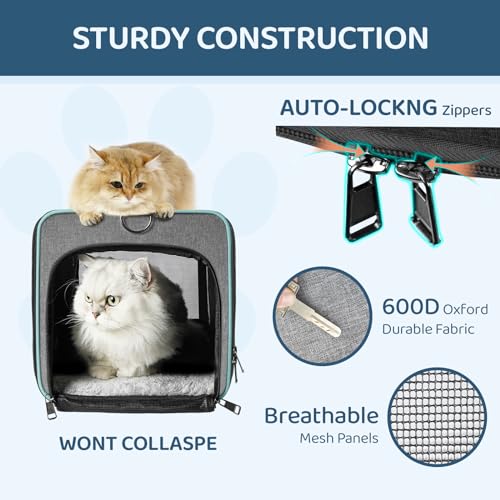 GAPZER Soft-Sided Pet Carrier for Air Travel 18x11x11 Inch - Underseat Cabin Carry Bag for Small Cats & Dogs Under 15 lbs - size: 18"x11"x11"