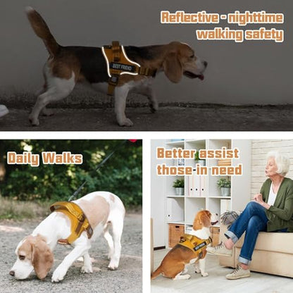 AUROTH Dog Harness and Leash Set, Soft Padded Service Vest Harness with 5.25FT Dog Leash, Easy On Pet Vest, Adjustable Reflective No Pull Dog Harnes Medium Sized, Easy Walking and Training - color: Turmeric, size: Medium
