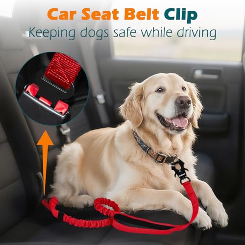 Heavy Duty Tactical Dog Leash, 5 FT Bungee Shock Absorption Leash with 2 Padded Handles, Quick Release Metal Clip, Car Seatbelt, No Pull Training Lead for Large Medium Dogs（Red） - color: Red