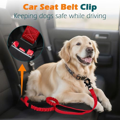 Heavy Duty Tactical Dog Leash, 5 FT Bungee Shock Absorption Leash with 2 Padded Handles, Quick Release Metal Clip, Car Seatbelt, No Pull Training Lead for Large Medium Dogs（Red） - color: Red