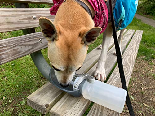 Lixit Hand Held Foldable Travel Hiking Outdoor Watering Bottle Bowl for Dogs (Pack of 2, Granite) - size: Pack of 2