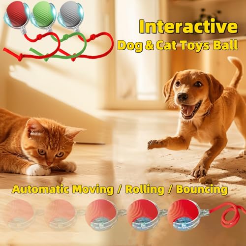 Interactive Dog Cat Toy Ball, Automatic Moving Bouncing Rolling, with Replacement Tail, Pet Smart Chase Ball Rechargeable, Enrichment Toys for Bored Indoor Adult Cats/Dogs (Grey) - color: Grey