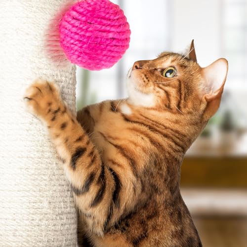 17-Inch Cat Scratching Post - Sisal Rope and Carpet Scratching Pole with Bright Pink Hanging Ball Toy for Adult Cats and Kittens by PETMAKER (Gray) - color: Gray