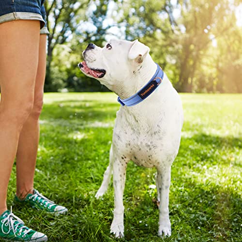 Neoprene Padded Dog Collar, Nylon Collar for Small to Large Dogs, Heavy Duty with Metal Buckle, Reflective(Large, Blue) - color: Blue, size: Large (Pack of 1)