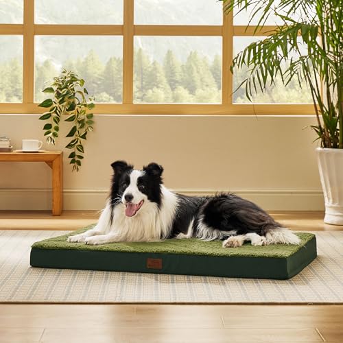Bedsure Dog Beds Large Sized Dog - Comfy Flat Pet Beds with Removable Washable Cover, Orthopedic Egg Crate Foam Puppy Mat, Suitable for Pet Up to 65 lbs - color: Dark Green, size: 36"L x 27"W x 3"Th