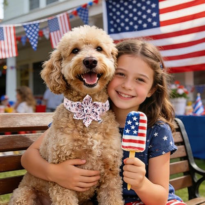 4th of July Independence Day Dog Collars with Flower, Pink Blue American Flag Star Dog Collar, DOGWONG Pink Girl American Flag Dog Collars for Small Dogs,S - color: B:Star Flag, size: S
