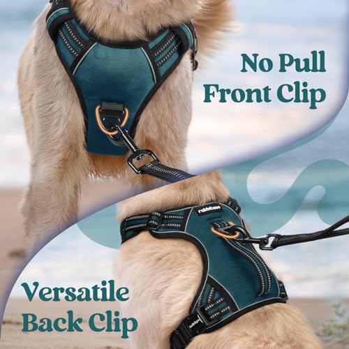 rabbitgoo Dog Harness for Large Dogs, No Pull Pet Harness with Soft Padded Handle, Adjustable Reflective Vest with 3 Buckles, Easy Walking Harness with 2 Leash Clips, Green, M - color: Green, size: Medium