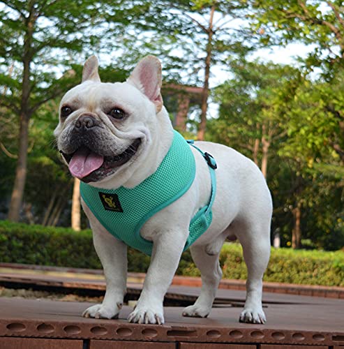 EcoBark Dog Harness - Eco-Friendly Max Comfort Harnesses - Luxurious Soft Mesh Halter - Over the Head Harness Vest- No Pull and No Choke for Puppy, Toy Breeds & Small Dogs (Medium, Mint Turquoise) - color: Mint Turquoise