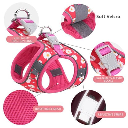 Step in Dog Harness No Pull Flower Adjustable Soft Mesh Padded Reflective Pet Vest Harness and Leash Set for Small Medium Dogs - color: Purple, size: S(neck:10.5"-12",chest:13.5"-16")
