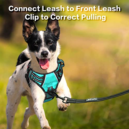PoyPet No Pull Dog Harness, No Choke Front Clip Reflective Dog Vest with Soft Padded Vertical Handle, 3 Leash Attachments for Small Medium Large Dogs (Mint Blue,XL) - color: Mint Blue, size: Extra Large