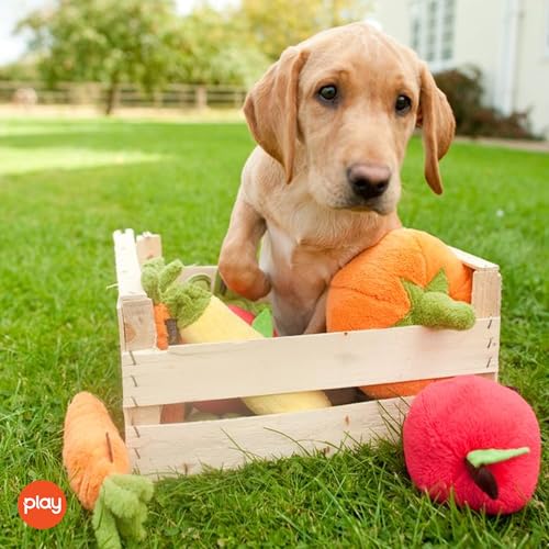 P.L.A.Y. Cute Plush Dog Toys - Fruit & Vegetable Themed Durable Squeaker Chew Toy, Great for Puppies & Small, Medium, Large Dogs - Machine Washable, Recycled Materials (Garden Fresh Apple, Medium) - color: Apple, size: Medium