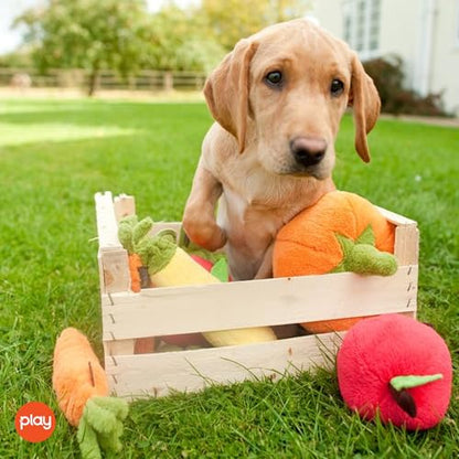 P.L.A.Y. Cute Plush Dog Toys - Fruit & Vegetable Themed Durable Squeaker Chew Toy, Great for Puppies & Small, Medium, Large Dogs - Machine Washable, Recycled Materials (Garden Fresh Apple, Medium) - color: Apple, size: Medium