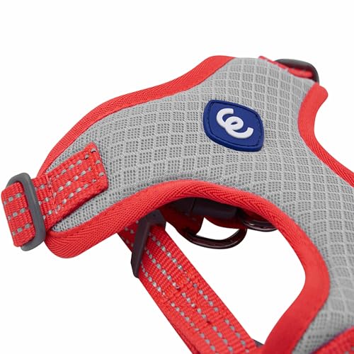 Blueberry Pet Essentials Back to Basics Reflective Dog Harness Vest, Fiery Red, Medium, Adjustable Harnesses for Dogs - color: Fiery Red, size: Medium (Pack of 1)
